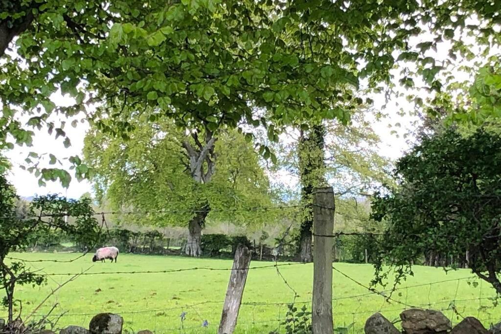 Ballyheifer House - A Beautiful 5 Bedroom Home. Magherafelt Zewnętrze zdjęcie